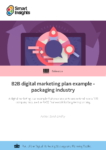 B2B digital marketing plan example – packaging industry