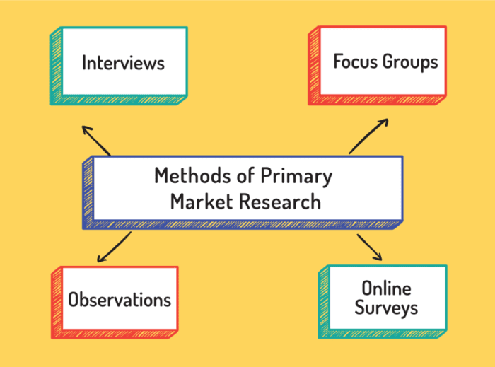 what is the term primary market research